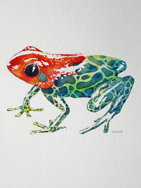 Aquarellbild eines grünen Frosches vor weissem Hintergrund